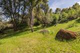 50566 Critter Creek Lane - Photo 30