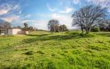 33116 Calkins Road - Photo 18