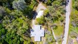 28326 Teresa Springs Road - Photo 48
