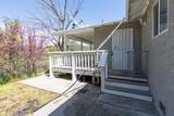 28326 Teresa Springs Road - Photo 8