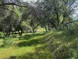 4516 Hirsch Road - Photo 10