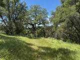 4516 Hirsch Road - Photo 11