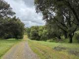 4516 Hirsch Road - Photo 5