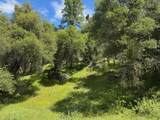 4516 Hirsch Road - Photo 6