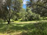 4516 Hirsch Road - Photo 9