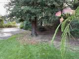 42177 Lone Olive Lane - Photo 56
