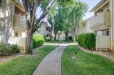 1542 Alluvial Avenue - Photo 35