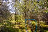 9 Valley Oak Drive - Photo 16