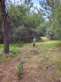 9 Valley Oak Drive - Photo 20