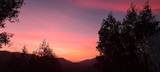 46281 Eastwood Drive - Photo 81