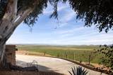 15516 Friant Road - Photo 19