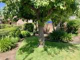 1349 Indianapolis Avenue - Photo 20