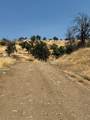 38914 Road 810 - Photo 32