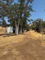38914 Road 810 - Photo 36
