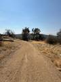 38914 Road 810 - Photo 46