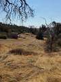 38914 Road 810 - Photo 47