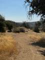38914 Road 810 - Photo 49
