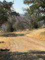 38914 Road 810 - Photo 50