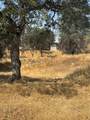 38914 Road 810 - Photo 59