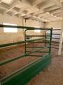 5288 Piedra Road - Photo 11