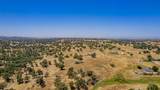 35095 Rough Rider Way - Photo 52