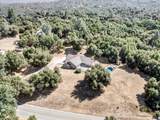 46453 Opah Drive - Photo 49