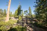 0-00 Littlefield Road - Photo 11