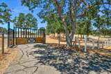 34503 Backbone Road - Photo 52