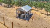 34503 Backbone Road - Photo 60