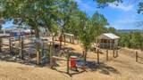 34503 Backbone Road - Photo 63
