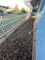 2706 Ashlan Avenue - Photo 19