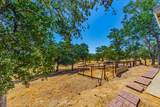 29997 Corral Drive - Photo 48