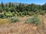 33892 33892 Shaver Springs Road - Photo 3