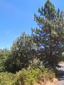 33892 33892 Shaver Springs Road - Photo 4