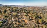 34689 Whispering Springs Lane - Photo 40