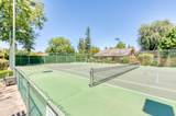6300 Palm Avenue - Photo 34