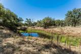 33563 Frazier Road - Photo 43