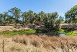 33563 Frazier Road - Photo 46
