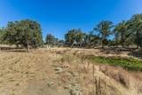 33563 Frazier Road - Photo 47