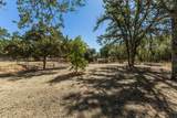 33563 Frazier Road - Photo 48