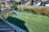 1808 Benvenuto Drive - Photo 49