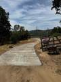 31076 Hogans Mountain Road - Photo 5