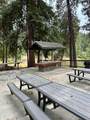 52358 Elder Rd. - Photo 25
