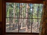 64960 Stellar Jay - Photo 15
