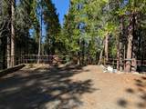 64960 Stellar Jay - Photo 2