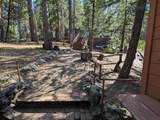 64960 Stellar Jay - Photo 20