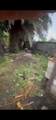 332 Lewis Street - Photo 19