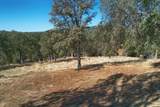4733 Hirsch Road - Photo 44