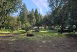 42583 Shady Lane - Photo 46