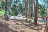 42583 Shady Lane - Photo 48